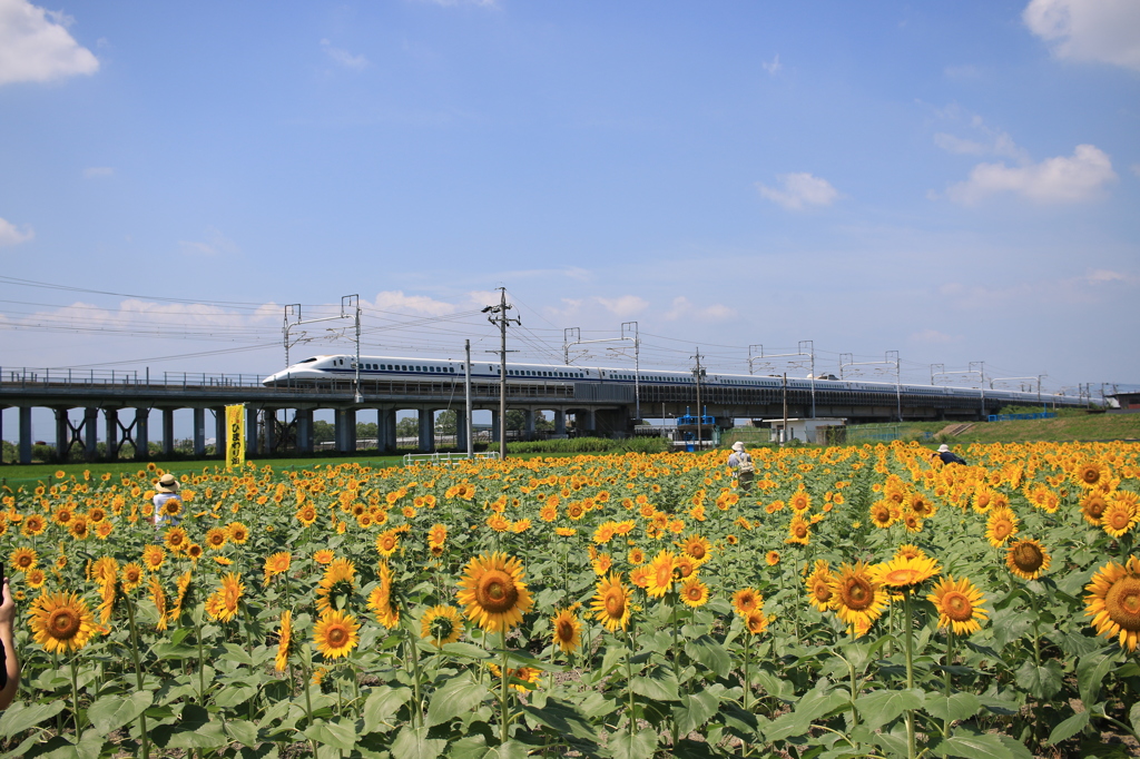 来た来た！