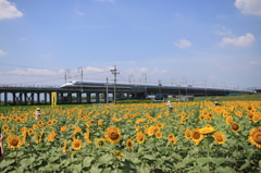 来た来た！