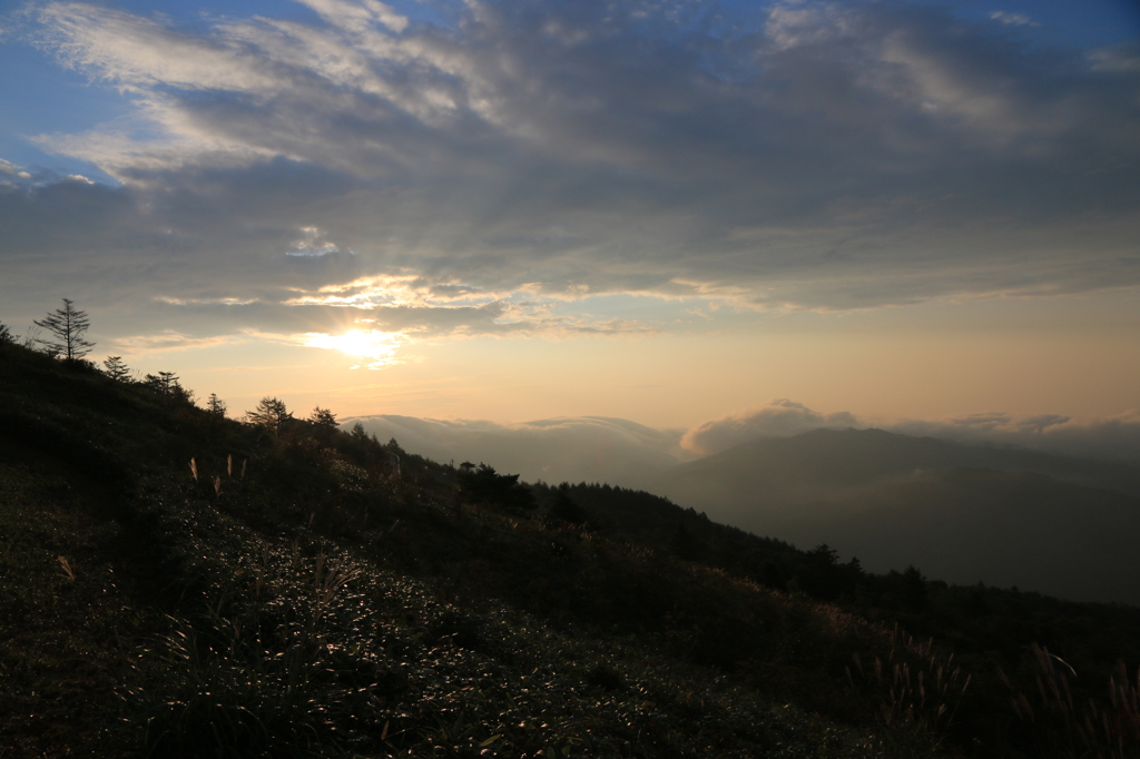 雨上りの朝空に