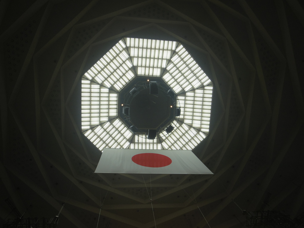 武道館見上げる