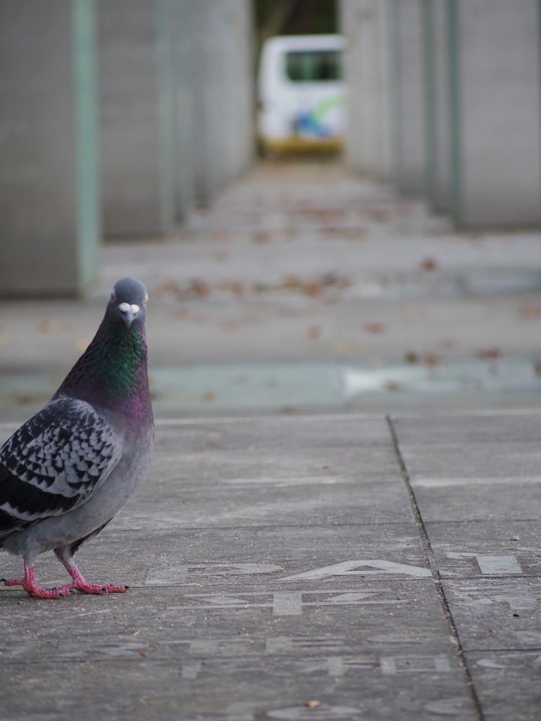 あっ！撮ってました？