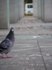 あっ！撮ってました？