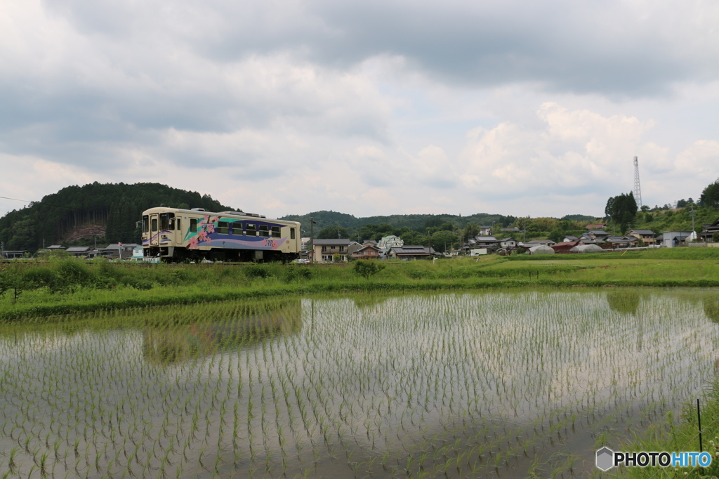 初夏の明智鉄道