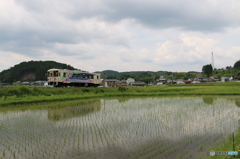 初夏の明智鉄道