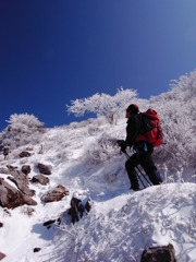 冬の伊吹山