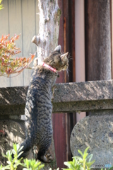 隣が気になる