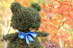 そぎのクマさん