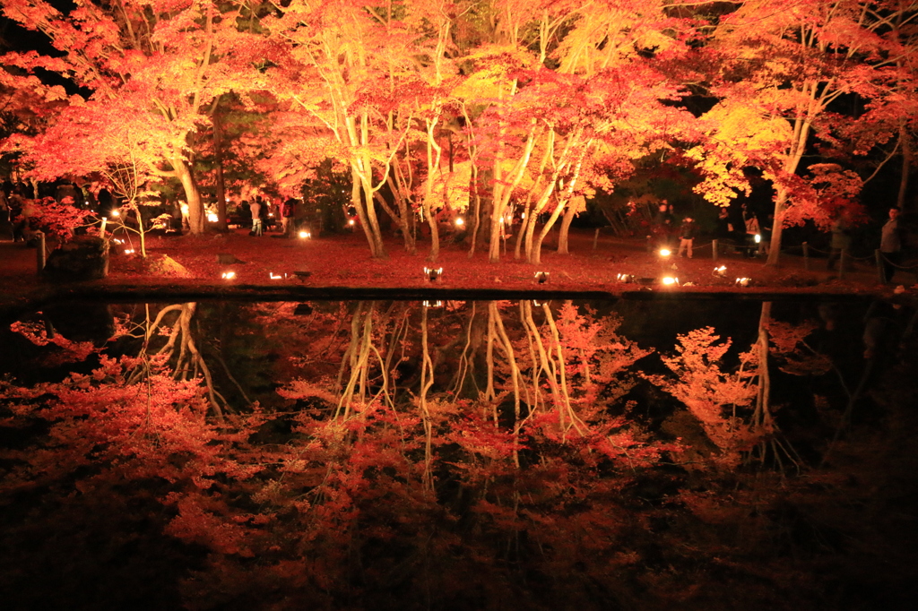 曽木公園定番の。