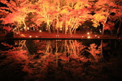 曽木公園定番の。