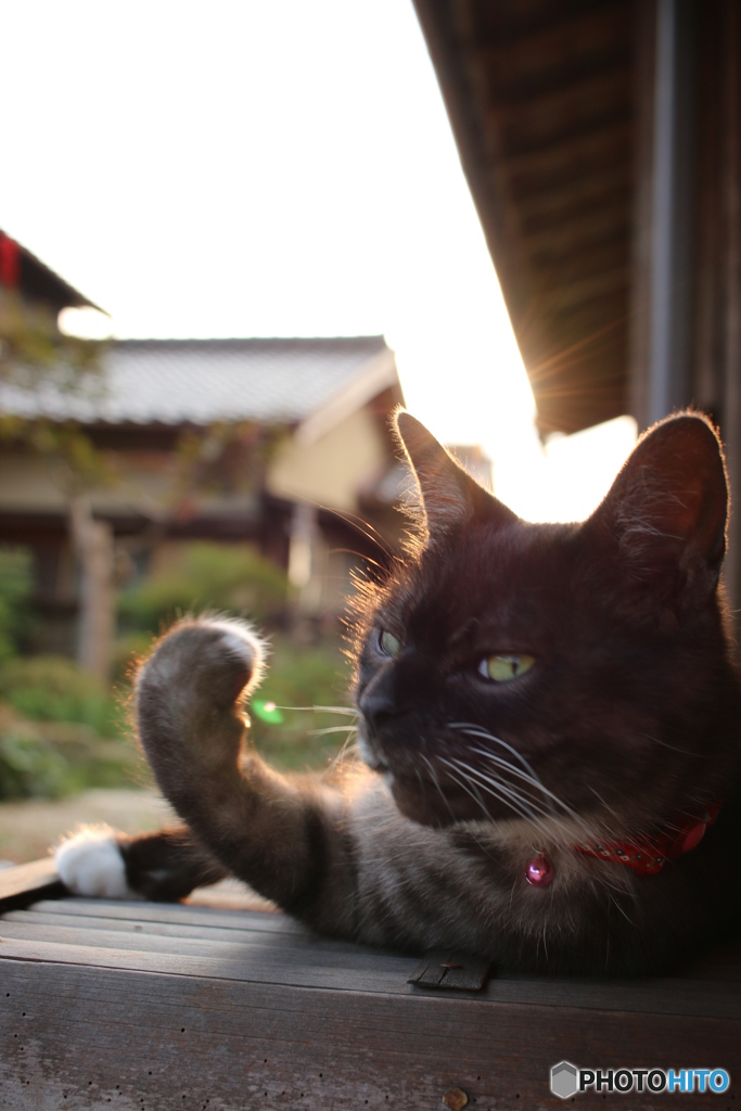 かかってきなさい！