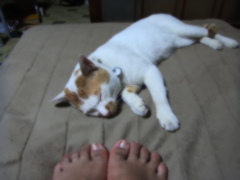 ちょっと、どいてもらえますか。