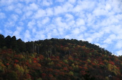 連休　秋山へ