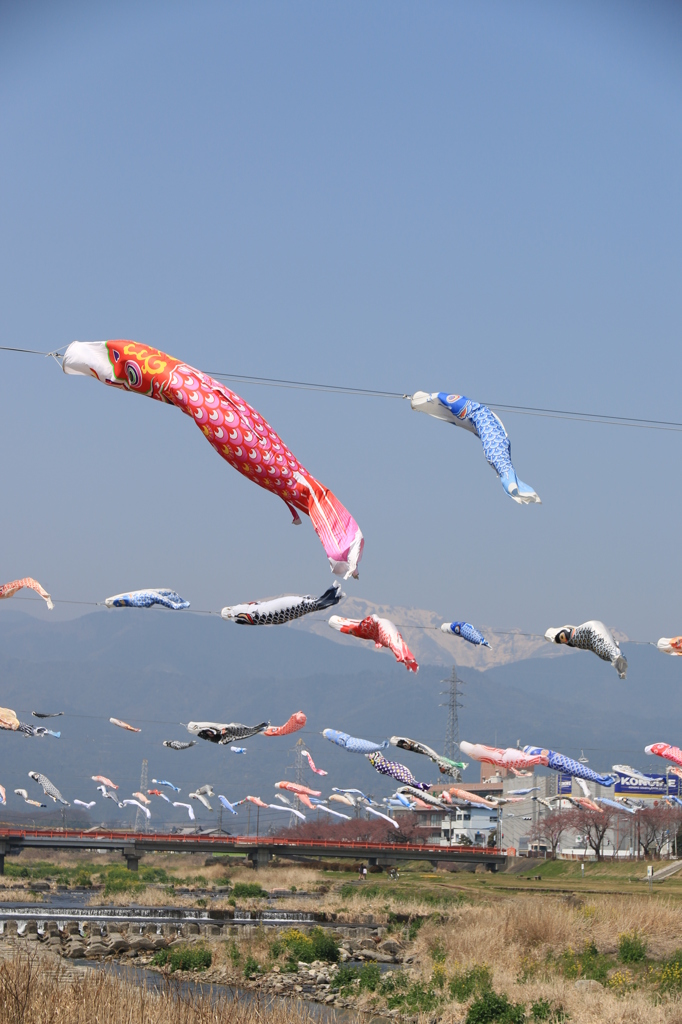 母シシャモ子シシャモ