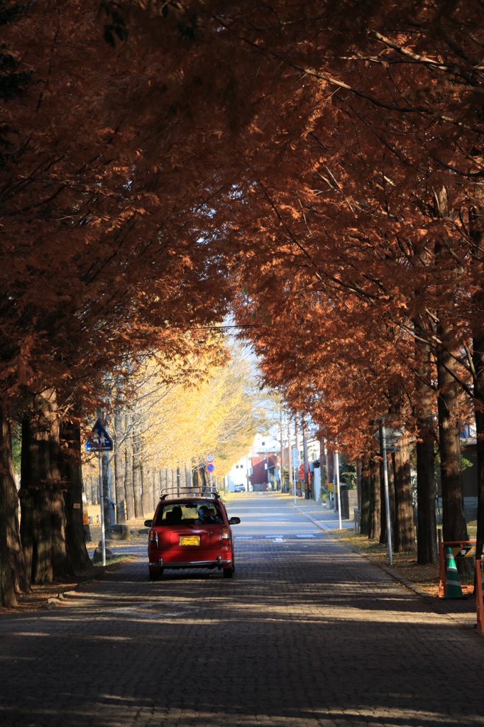 冬ソナ通りいつもどうり
