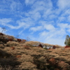 小原日和
