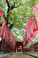 新緑の真清田神社