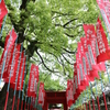 新緑の真清田神社