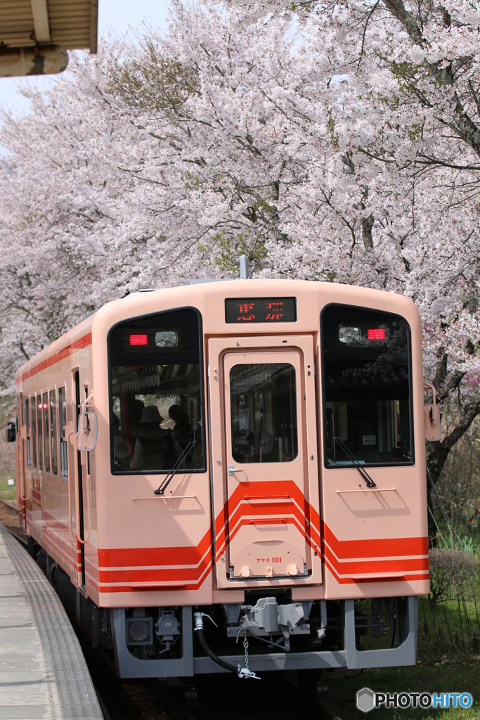 春の明智鉄道