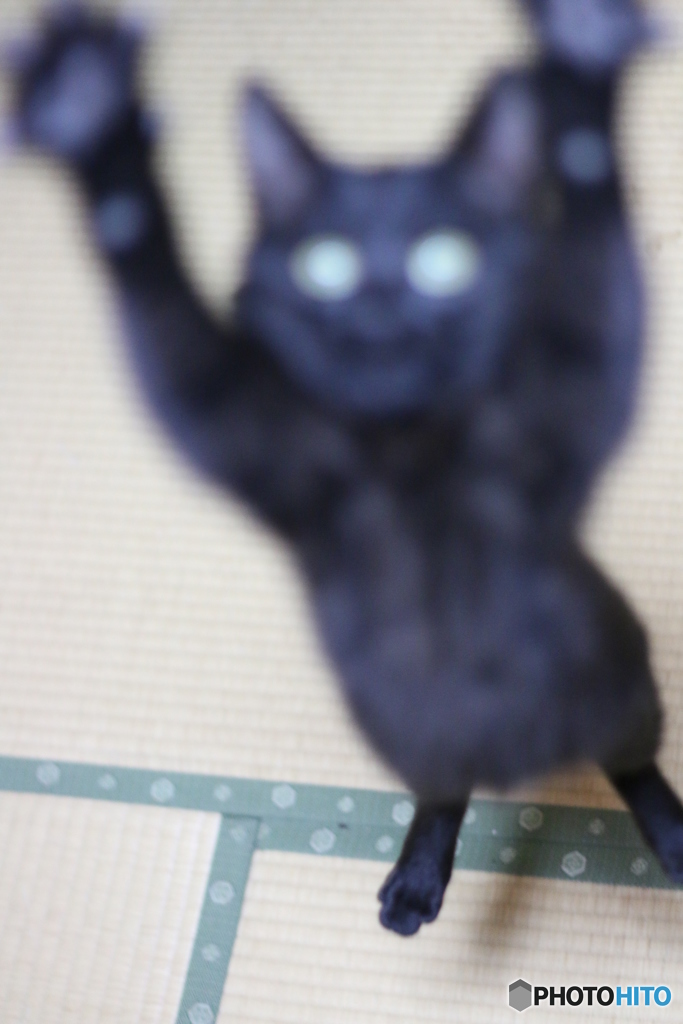 ピンボケだけど