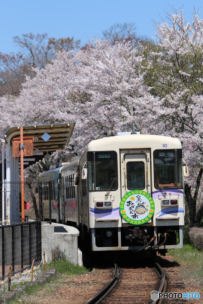 春の山岡駅