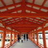 厳島神社の朱