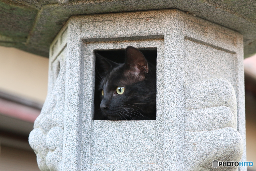 新しい秘密基地