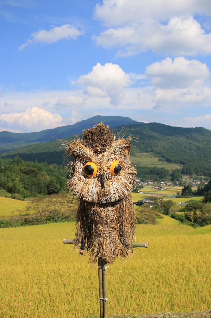 坂折棚田実りの秋