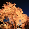 桜堂薬師　夜