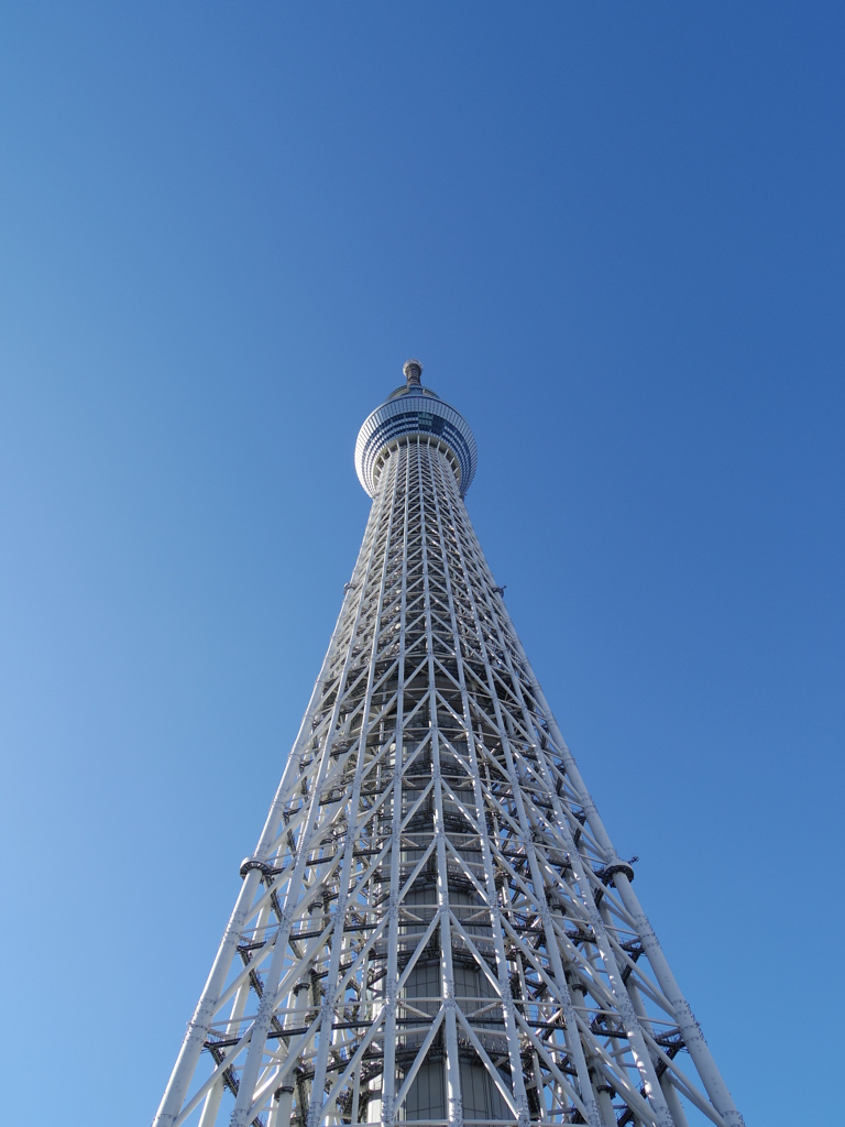 快晴スカイツリー