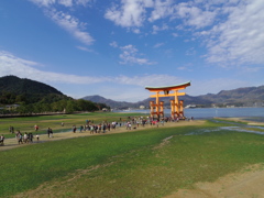 緑と大鳥居