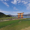 緑と大鳥居