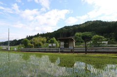 田んぼの中の小さな駅