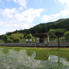 田んぼの中の小さな駅