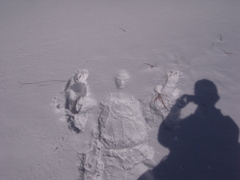 雪山遊び　分身の術