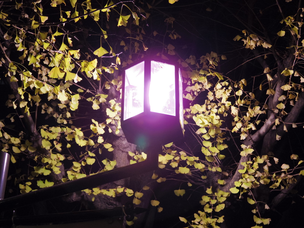 眠りたくない夜