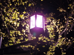 眠りたくない夜