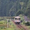 緑の中を走り抜けていくアケチ
