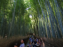 嵐山　竹林の道