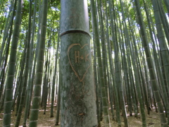恥