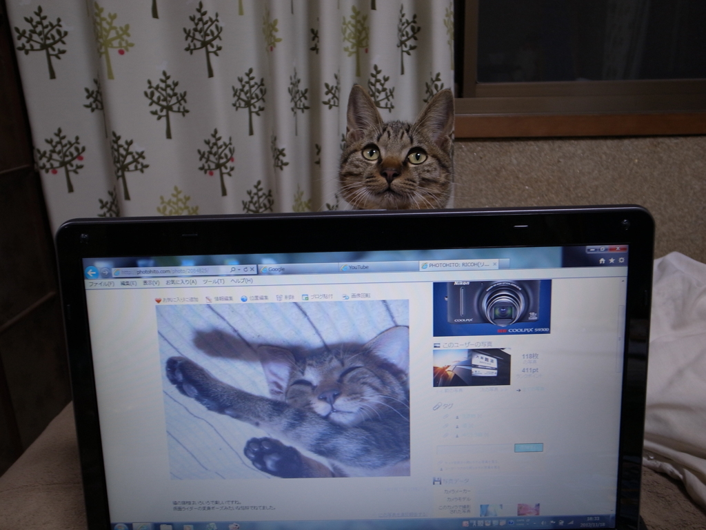 変なの載せたでしょ！