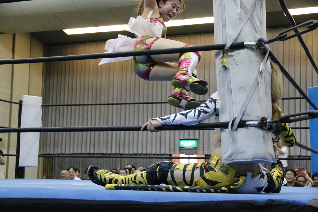 コーナー串刺し低空ドロップキック