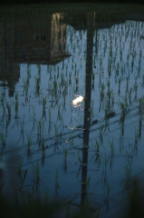 夜の始まり