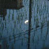 夜の始まり
