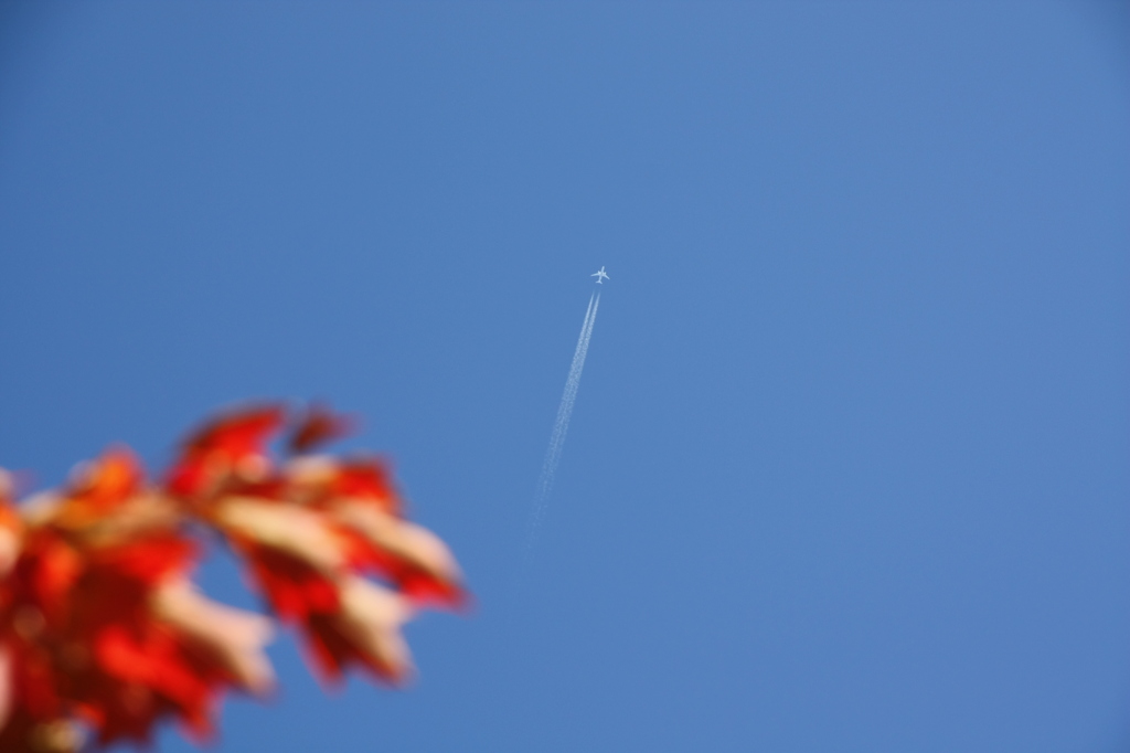 青い空　涙の筋　ひこうきぐも