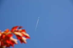 青い空　涙の筋　ひこうきぐも