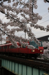 サクラと赤い電車