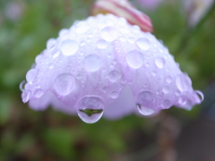 雨化粧