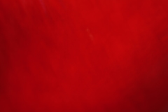 _1300348