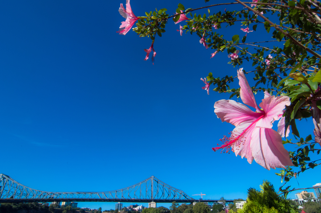 Story Bridge