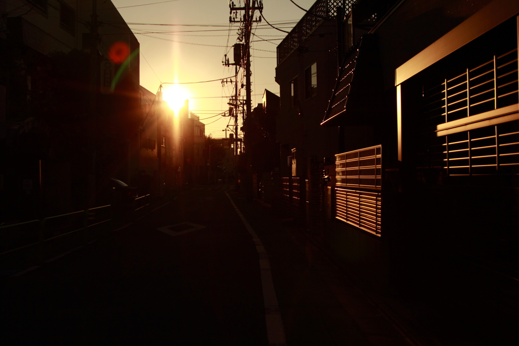 Golden Time, in My Winter